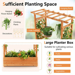 Raised Garden Bed With Trellis Or Climbing Plant And Hanging Roof