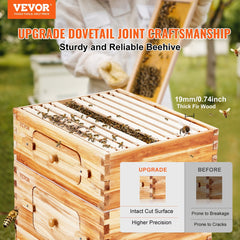 Bee Hive 20 Frame Bee Hives Starter Kit, Beeswax Coated Cedar Wood, Bee Boxes Langstroth Beehive Kit, Transparent Acrylic Windows With Foundations For Beginners Pro Beekeepers