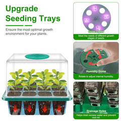 5Packs Seed Starter Tray With Grow Light Humidity Dome Germination Kit With 5-Level Brightness 4 Timers For Indoor Greenhouse