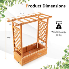 Raised Garden Bed With Trellis Or Climbing Plant And Hanging Roof