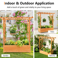 Raised Garden Bed With Trellis Or Climbing Plant And Hanging Roof