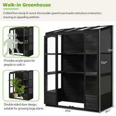 TOPMAX 78-inch Wooden Greenhouse Cold Frame With 4 Independent Skylights And 2 Folding Middle Shelve