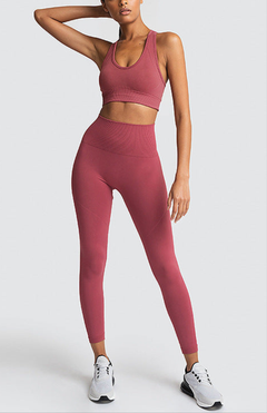 Seamless Gym Set Nylon Woman Sportswear