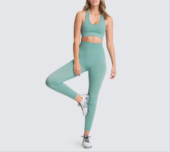 Seamless Gym Set Nylon Woman Sportswear