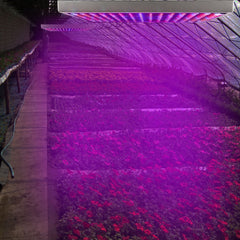 1 Set LED Grow Light Full Spectrum Hanging 225 LEDs Plant Grow Lamp Indoor Grow Light For Greenhouse Succulents Seedlings Plants Veg And Flower