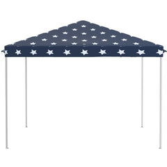 Outsunny 10 X 10  Up Canopy Tent With Netting, Instant Gazebo, Ez Up Screen House Room With Carry Bag, Height Adjustable, For Outdoor, Garden, Patio, American Flag